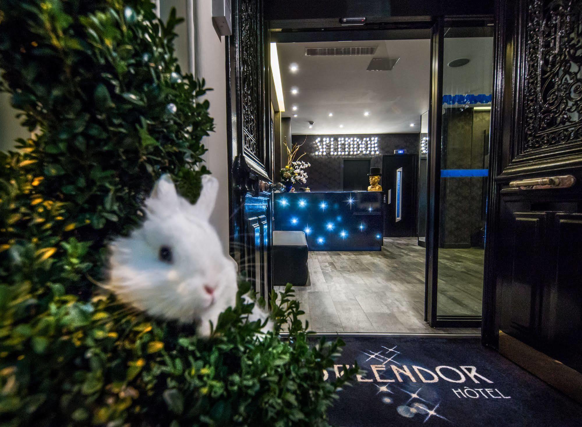 Splendor Elysées 3*